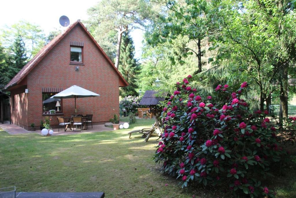 Ferienhaus Am Waldesrand Hatten Exterior photo